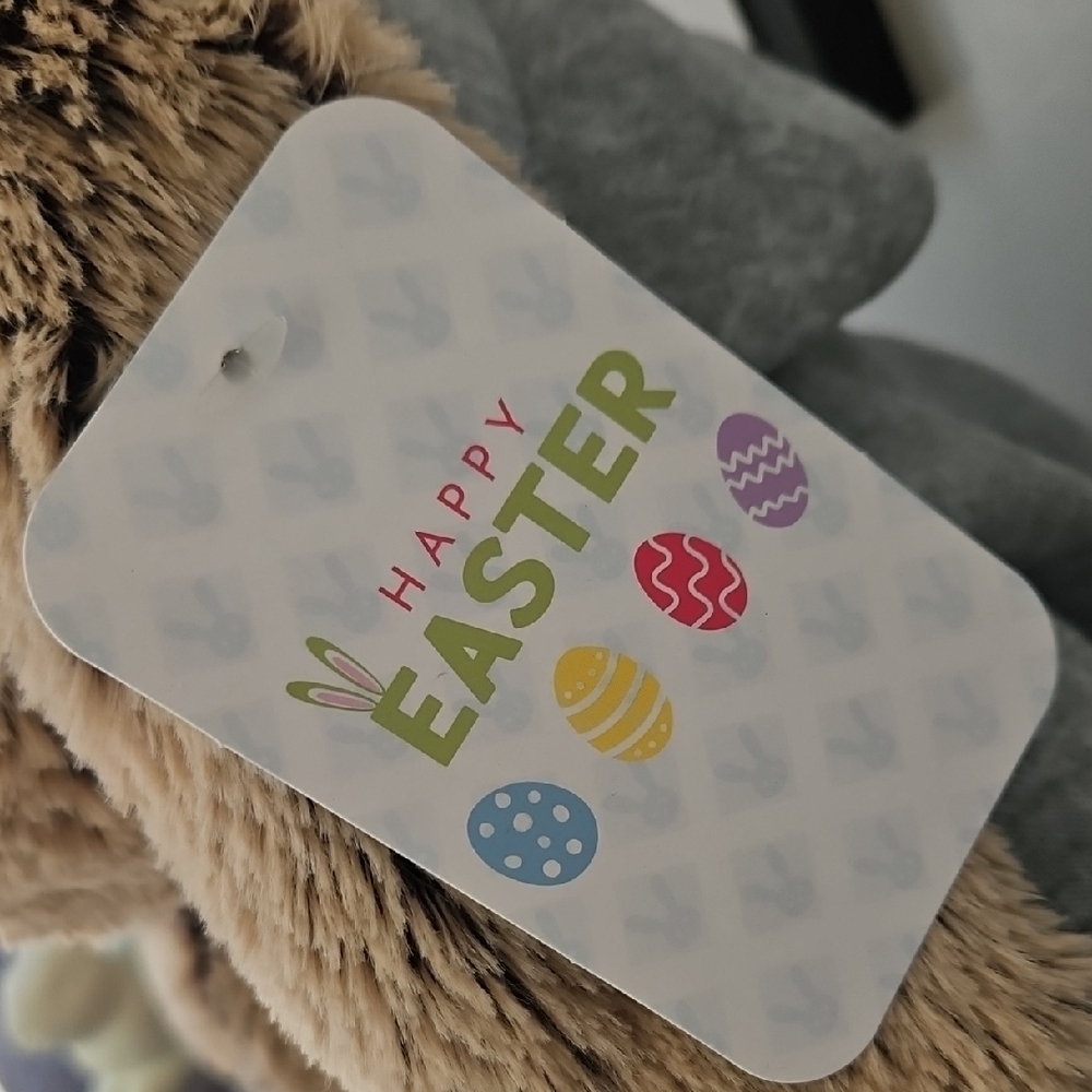 Plush Easter Bunny with Gray Sports Hoodie - Picture 2 of 5